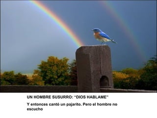 UN HOMBRE SUSURRO: “DIOS HABLAME” Y entonces cantó un pajarito. Pero el hombre no escucho 