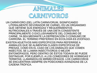 UN CARNÍVORO (DEL LATÍN CARNIVORUM, SIGNIFICANDO
LITERALMENTE DEVORADOR DE CARNE), ES UN ORGANISMO
QUE OBTIENE SUS ENERGÍAS Y REQUERIMIENTOS
NUTRICIONALES A TRAVÉS DE UNA DIETA CONSISTENTE
PRINCIPALMENTE O EXCLUSIVAMENTE DEL CONSUMO DE
CARNE, YA SEA MEDIANTE LA DEPREDACIÓN O CONSUMO DE
CARROÑA. EL TÉRMINO PREFERIDO EN ECOLOGÍA ES ZOÓFAGO.
EXISTEN ADJETIVOS MÁS ESPECÍFICOS PARA REFERIRSE A
ANIMALES QUE SE ALIMENTAN CLASES ESPECÍFICAS DE
PRESAS, COMO EN EL CASO DE LOS ANIMALES QUE COMEN
INSECTOS, SE LLAMAN INSECTÍVOROS O MEJOR
ENTOMÓFAGOS, PERO DENTRO DE ÉSTOS TODAVÍA SE PUEDE
DISTINGUIR, POR EJEMPLO, A LOS COMEDORES DE HORMIGAS Y
TERMITAS, LLAMÁNDOLOS MIRMECÓFAGOS. LOS CARNÍVOROS
SE ENCUENTRAN SIEMPRE EN POSICIONES AVANZADAS DE LA
CADENA TRÓFICA.
 