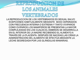 LA REPRODUCCION DE LOS VERTEBRADOS ES SEXUAL SALVO
ECEPCIONES HABITUALMENTE MEDIANTE SEXO CEPARADOS
CON FRECUENCIA INTERNA O EXTREMA Y TANTO VIVIPAROS
COMO OVIPAROS LOS MAMIFEROS SE PRESENTAN LA MAYOR
COMPLEJIODAD EN LOS CUALES EL EMBRION SE DESARROLLA
EN EL INTERIOR DE LA MADRE RECIBIENDO EL ALIMENTO A
TRAVÉS DE LA PLACENTA. DESPUÉS DE NACIDAS LAS CRÍAS LA
ADMINISTRACIÓN DEL ALIMENTO SE EFECTÚA MEDIANTE LA
LECHE SEGREGADA POR LAS GLÁNDULAS MAMARIAS.
 