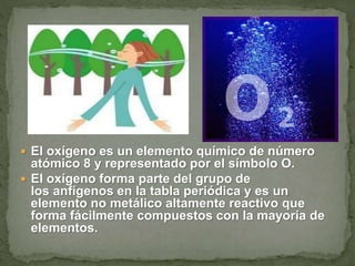  El oxígeno es un elemento químico de número
atómico 8 y representado por el símbolo O.
 El oxígeno forma parte del grupo de
los anfígenos en la tabla periódica y es un
elemento no metálico altamente reactivo que
forma fácilmente compuestos con la mayoría de
elementos.
 