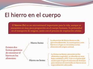 El hierro (Fe) es un micromineral importante para la vida, aunque se
encuentre en muy poca proporción en el cuerpo humano. Es primordial
en el transporte de oxígeno, junto con el proceso de respiración celular.
El hierro en el cuerpo
Existen dos
formas químicas
de encontrar el
hierro en los
alimentos:
Hierro hemo
Hierro no hemo
La absorción de hierro hemo es de,
aproximadamente, la cuarta parte y este
hierro es el que se encuentra en los
alimentos de origen animal.
La forma no hemo, presente en los
alimentos vegetales, se absorbe en muy
baja cantidad (3-8%). Este es el principal
motivo por el que el consumo de lentejas
para mejorar el contenido en hierro no es
especialmente adecuado.
 