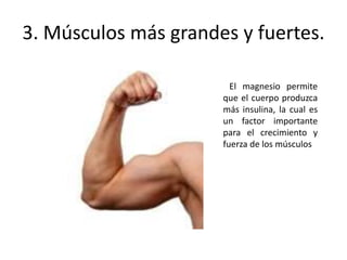 3. Músculos más grandes y fuertes.
El magnesio permite
que el cuerpo produzca
más insulina, la cual es
un factor importante
para el crecimiento y
fuerza de los músculos
 