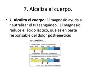 7. Alcaliza el cuerpo.
• 7. Alcaliza el cuerpo: El magnesio ayuda a
neutralizar el PH sanguíneo. El magnesio
reduce el ácido láctico, que es en parte
responsable del dolor post-ejercicio
 