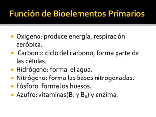  Oxigeno: produce energía, respiración
aeróbica.
 Carbono: ciclo del carbono, forma parte de
las células.
 Hidrógeno: forma el agua.
 Nitrógeno: forma las bases nitrogenadas.
 Fósforo: forma los huesos.
 Azufre: vitaminas(B1 y B8) y enzima.
 