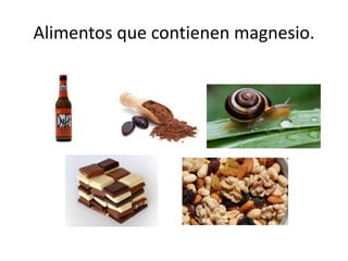 Alimentos que contienen magnesio.
 