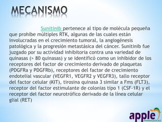 Sunitinib pertenece al tipo de molécula pequeña
que prohíbe múltiples RTK, algunas de las cuales están
involucradas en el crecimiento tumoral, la angiogénesis
patológica y la progresión metastásica del cáncer. Sunitinib fue
juzgado por su actividad inhibitoria contra una variedad de
quinasas (> 80 quinasas) y se identificó como un inhibidor de los
receptores del factor de crecimiento derivado de plaquetas
(PDGFRa y PDGFRb), receptores del factor de crecimiento
endotelial vascular (VEGFR1, VEGFR2 y VEGFR3), tallo receptor
del factor celular (KIT), tirosina quinasa 3 similar a Fms (FLT3),
receptor del factor estimulante de colonias tipo 1 (CSF-1R) y el
receptor del factor neurotrófico derivado de la línea celular
glial (RET)
 