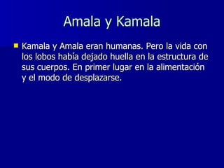 Amala y Kamala <ul><li>Kamala y Amala eran humanas. Pero la vida con los lobos había dejado huella en la estructura de sus...