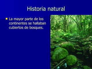 Historia natural <ul><li>La mayor parte de los continentes se hallaban cubiertos de bosques. </li></ul>