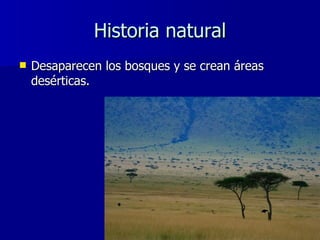 Historia natural <ul><li>Desaparecen los bosques y se crean áreas desérticas. </li></ul>
