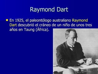 Raymond Dart <ul><li>En 1925, el paleontólogo australiano  Raymond Dart  descubrió el cráneo de un niño de unos tres años ...