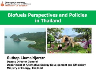 Biofuels Perspectives and Policies  in Thailand Suthep Liumsirijarern Deputy Director General Department of Alternative Energy Development and Efficiency Ministry of Energy, Thailand 