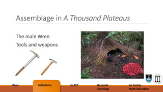 Assemblage in A Thousand Plateaus
The male Wren
Tools and weapons
River Definitions In ATP DeLanda
Sociology
de Freitas
Math Education
 