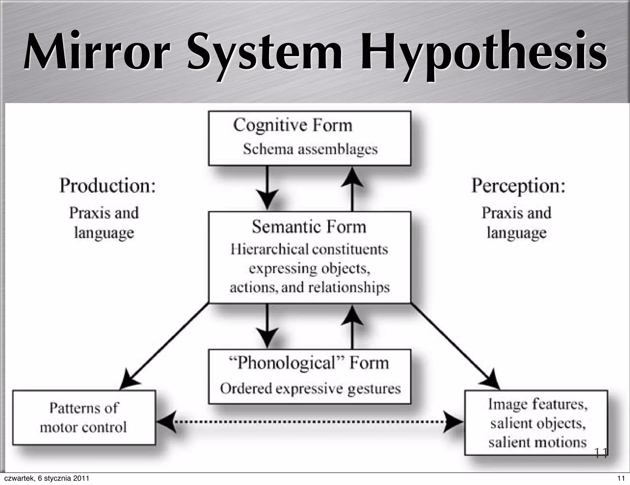 Mirror System Hypothesis
                            The Mirror System Hypothesis




                                                           11
czwartek, 6 stycznia 2011                                       11
 