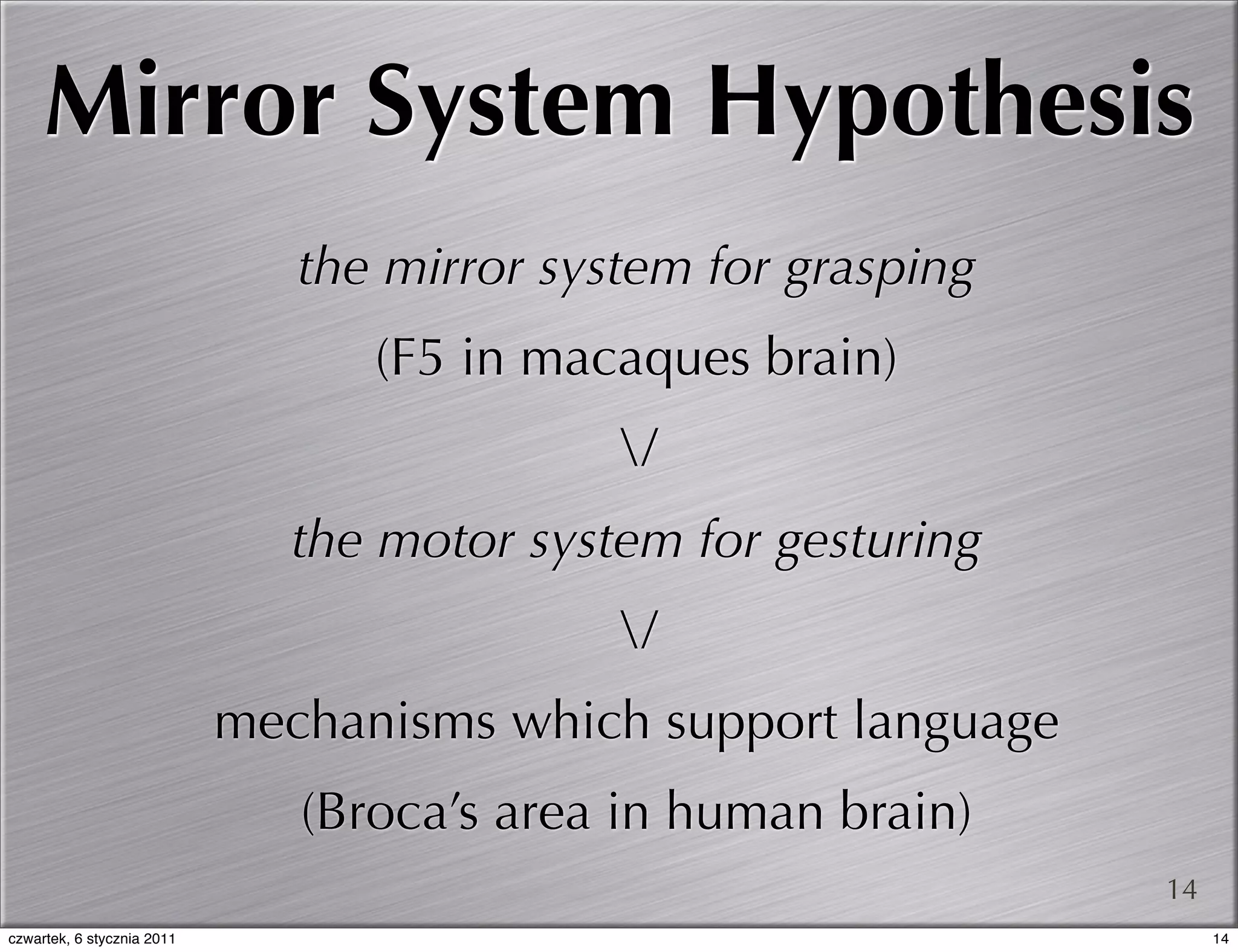 Mirror System Hypothesis
                               the mirror system for grasping
                                  (F5 in macaques brain)
                                             /
                               the motor system for gesturing
                                             /
                            mechanisms which support language
                               (Broca’s area in human brain)
                                                                14
czwartek, 6 stycznia 2011                                            14
 