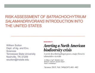 RISK ASSESSMENT OF BATRACHOCHYTRIUM
SALAMANDRIVORANS INTRODUCTION INTO
THE UNITED STATES
William Sutton
Dept. of Ag. and Env.
Sciences
Tennessee State University
Nashville, TN 37209
wsutton@tnstate.edu
Science 2015, Vol: 349(6247):481–482
 