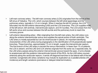 18
• Left main coronary artery : The left main coronary artery (LCA) originates from the ostium of the
left sinus of Valsalva. The LCA, which courses between the left atrial appendage and the
pulmonary artery, typically is 1-2 cm in length. When it reaches the left AV groove, the LCA
bifurcates into the left anterior descending (LAD) and the LCX branches. The LCA supplies most
of the left atrium, left ventricle, interventricular septum, and AV bundles. The LCA arises from the
left aortic sinus and courses between the left auricle and the pulmonary trunk to reach the
coronary groove
• Left anterior descending artery : After originating from the left main artery, the LAD artery runs
along the anterior interventricular sulcus and supplies the apical portion of both ventricles. The
LAD artery is mostly epicardial but can be intramuscular in places. An important identifying
characteristic of the LAD artery during angiography is the identification of 4-6 perpendicular septal
branches. These branches, approximately 7.5 cm in length, supply the interventricular septum.
The first branch of the LAD artery is termed the ramus intermedius. In fewer than 1% of patients,
the LCA is absent, and the LAD and LCX arteries originate from the aorta via 2 separate ostia. As
the LAD artery passes along the anterior interventricular groove toward the apex, it turns sharply
to anastomose with the posterior interventricular branch of the RCA. As the LAD artery courses
anteriorly along the ventricular septum, it sends off diagonal branches to the lateral wall of the left
ventricle. Congenital LAD artery variations may include its duplication as 2 parallel arteries (4%
incidence) and length variations (premature or delayed distal termination).
 
