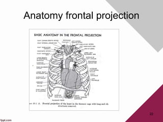 Anatomy frontal projection
22
 