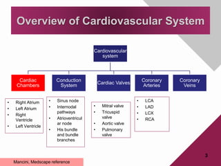 Cardiovascular
system
Cardiac
Chambers
Conduction
System
Cardiac Valves
Coronary
Arteries
Coronary
Veins
3
Overview of Cardiovascular System
• Right Atrium
• Left Atrium
• Right
Ventricle
• Left Ventricle
• Sinus node
• Internodal
pathways
• Atrioventricul
ar node
• His bundle
and bundle
branches
• Mitral valve
• Tricuspid
valve
• Aortic valve
• Pulmonary
valve
• LCA
• LAD
• LCX
• RCA
Mancini, Medscape reference
 
