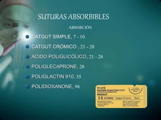 SUTURAS ABSORBIBLES
ABSORCIÓN
CATGUT SIMPLE, 7 - 10
CATGUT CRÓMICO , 21 - 28
ACIDO POLIGLICÓLICO, 21 - 28
POLIGLECAPRONE, 28
POLIGLACTIN 910, 35
POLIDIOXANONE, 98
 