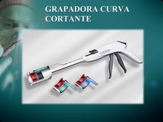 GRAPADORA CURVA
CORTANTE
 
