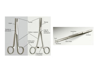 Suture Guide Instrument Comprehensive Guide to Surgical Sutures and Instruments in General ...