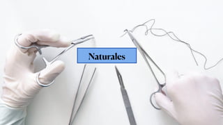 • Alta biocompatibilidad
• La tenacidad de las suturas de seda trenzada
disminuye con el aumento de la longitud del calibr...