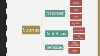 Suturas
Naturales
Catgut
Seda
lino
algodón
Sintéticas
Absorbibles
No
absorbibles
metálicas
Acero
inoxidable
Acero
 