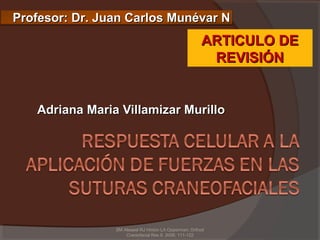 Profesor: Dr. Juan Carlos Munévar N
                                                      ARTICULO DE
                                                       REVISIÓN


   Adriana Maria Villamizar Murillo




                SM Alaqeel RJ Hinton LA Opperman; Orthod
                    Craniofacial Res 9, 2006; 111-122
 
