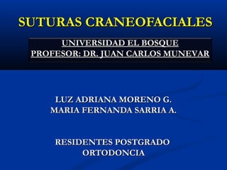 SUTURAS CRANEOFACIALES
      UNIVERSIDAD EL BOSQUE
 PROFESOR: DR. JUAN CARLOS MUNEVAR




     LUZ ADRIANA MORENO G.
    MARIA FERNANDA SARRIA A.


     RESIDENTES POSTGRADO
          ORTODONCIA
 
