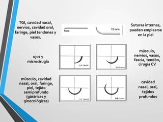 TGI, cavidad nasal,
nervios, cavidad oral,
faringe, piel tendones y
vasos.
Suturas internas,
pueden emplearse
en la piel
ojos y
microcirugía
músculo,
nervios, vasos,
fascia, tendón,
cirugía CV
músculo, cavidad
nasal, oral, faringe,
piel, tejido
semiprofundo
(gástricas y
ginecológicas)
cavidad
nasal, oral,
tejidos
profundos
 