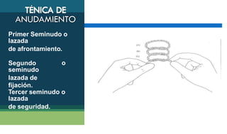 Primer Seminudo o
lazada
de afrontamiento.
Segundo
seminudo
lazada de
fijación.
o
Tercer seminudo o
lazada
de seguridad.
 