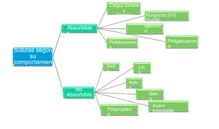 Acido
Po (Dexon)
Polie
Catgut Simple
y
Cromic
o
Poliglactin 910
(Vycril)
liglicolic
o
Absorbible
s
Poliglecapron
e
Polidioxanon
e
Suturas según
su
comportamien
to Sed
a
Lin
o
Nylo
n
No
Absorbible
s
tilen
o
Acero
inoxidable
Polipropilen
o
 