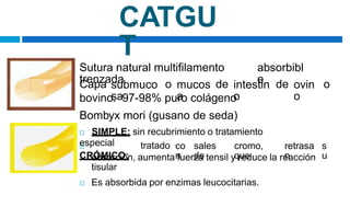 CATGU
T
Sutura natural multifilamento
trenzada
absorbibl
e
Capa submuco
sa
o mucos
a
de intestin
o
de ovin
o
o
bovino. 97-98% puro colágeno
Bombyx mori (gusano de seda)
 SIMPLE: sin recubrimiento o tratamiento
especial

CRÓMICO:
tratado co
n
sales
de
cromo,
que
retrasa
n
s
u
absorción, aumenta fuerza tensil y reduce la reacción
tisular
 Es absorbida por enzimas leucocitarias.
 
