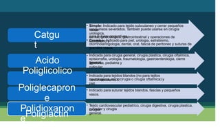 • Simple: Indicado para tejido subcutaneo y cerrar pequeños
vasos
dental, ginecologica, gastrointestinal y operaciones de
estrabismo y
sanguineos severados. También puede usarse en cirugía
urologica,
Catgu
t
para suturar conjuntivas.
Cromico: Indicado para piel, urologia, estrabismo,
otorrinolaringologia, dental, oral, fascia de peritoneo y suturas de
grandes vasos.
•
• Indicada para cirugia general, cirugia plastica, cirugia oftalmica,
episiorrafia, urologia, traumatologia, gastroenterologia, cierre
general,
Acido
Poliglicolico
Poliglecapron
e
Poliglactin
910
ligaduras, pediatria y
cuticular.
• Indicada para tejidos blandos (no para tejitos
cardiovasculares o
neurologicos, microcirugia o cirugia oftalmica) y
piel.
• Indicado para suturar tejidos blandos, fascias y pequeños
vasos.
Polidioxanon
e
• Tejido cardiovascular pediatrico, cirugia digestiva, cirugia plastica,
cirugia
cuticular y cirugia
general.
 