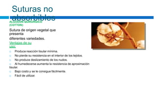 Suturas no
absorbibles
ALGODÓN QUIRÚRGICO
(COTTON):
Sutura de origen vegetal que
presenta
diferentes variedades.
Ventajas de su
uso:
 Produce reacción tisular mínima.
 No pierde su resistencia en el interior de los tejidos.
 No produce deslizamiento de los nudos.
 Al humedecerse aumenta la resistencia de aproximación
tisular.
 Bajo costo y se le consigue fácilmente.
 Fácil de utilizar.
 