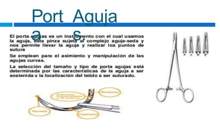 Port
a
Aguja
s.
 