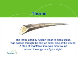 Thorns The thorn, used by African tribes to close tissue,  was passed through the skin on either side of the wound.  A strip of vegetable fibre was then wound  around the edge in a figure eight.   