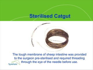 Sterilised Catgut The tough membrane of sheep intestine was provided  to the surgeon pre-sterilised and required threading  through the eye of the needle before use.   