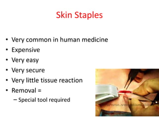 Skin Staples
• Very common in human medicine
• Expensive
• Very easy
• Very secure
• Very little tissue reaction
• Removal =
– Special tool required
 
