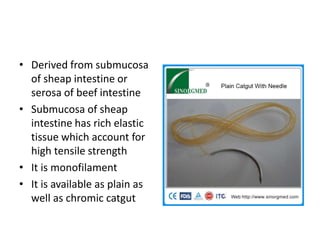 • Derived from submucosa
of sheap intestine or
serosa of beef intestine
• Submucosa of sheap
intestine has rich elastic
tissue which account for
high tensile strength
• It is monofilament
• It is available as plain as
well as chromic catgut
 