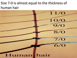 Size 7-0 is almost equal to the thickness of
human hair
 