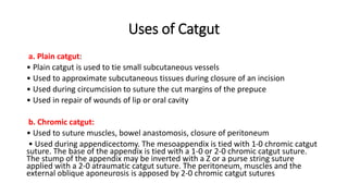 Uses of Catgut
a. Plain catgut:
• Plain catgut is used to tie small subcutaneous vessels
• Used to approximate subcutaneous tissues during closure of an incision
• Used during circumcision to suture the cut margins of the prepuce
• Used in repair of wounds of lip or oral cavity
b. Chromic catgut:
• Used to suture muscles, bowel anastomosis, closure of peritoneum
• Used during appendicectomy. The mesoappendix is tied with 1-0 chromic catgut
suture. The base of the appendix is tied with a 1-0 or 2-0 chromic catgut suture.
The stump of the appendix may be inverted with a Z or a purse string suture
applied with a 2-0 atraumatic catgut suture. The peritoneum, muscles and the
external oblique aponeurosis is apposed by 2-0 chromic catgut sutures
 