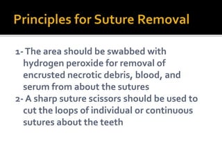 1-The area should be swabbed with
hydrogen peroxide for removal of
encrusted necrotic debris, blood, and
serum from about the sutures
2- A sharp suture scissors should be used to
cut the loops of individual or continuous
sutures about the teeth
 