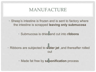 MANUFACTURE
• Sheep’s intestine is frozen and is sent to factory where
the intestine is scrapped leaving only submucosa
• Submucosa is dried and cut into ribbons
• Ribbons are subjected to water jet ,and thereafter rolled
out
• Made fat free by saponification process
 