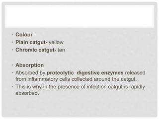 • Colour
• Plain catgut- yellow
• Chromic catgut- tan
• Absorption
• Absorbed by proteolytic digestive enzymes released
from inflammatory cells collected around the catgut.
• This is why in the presence of infection catgut is rapidly
absorbed.
 