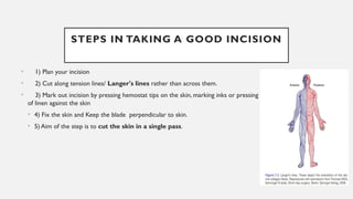 Deep Incision Cut Comprehensive Overview of Suture Materials, Techniques, and Surgical ...