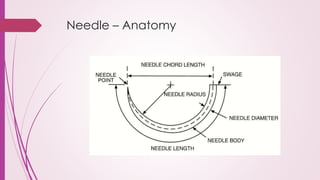 Needle – Anatomy
 