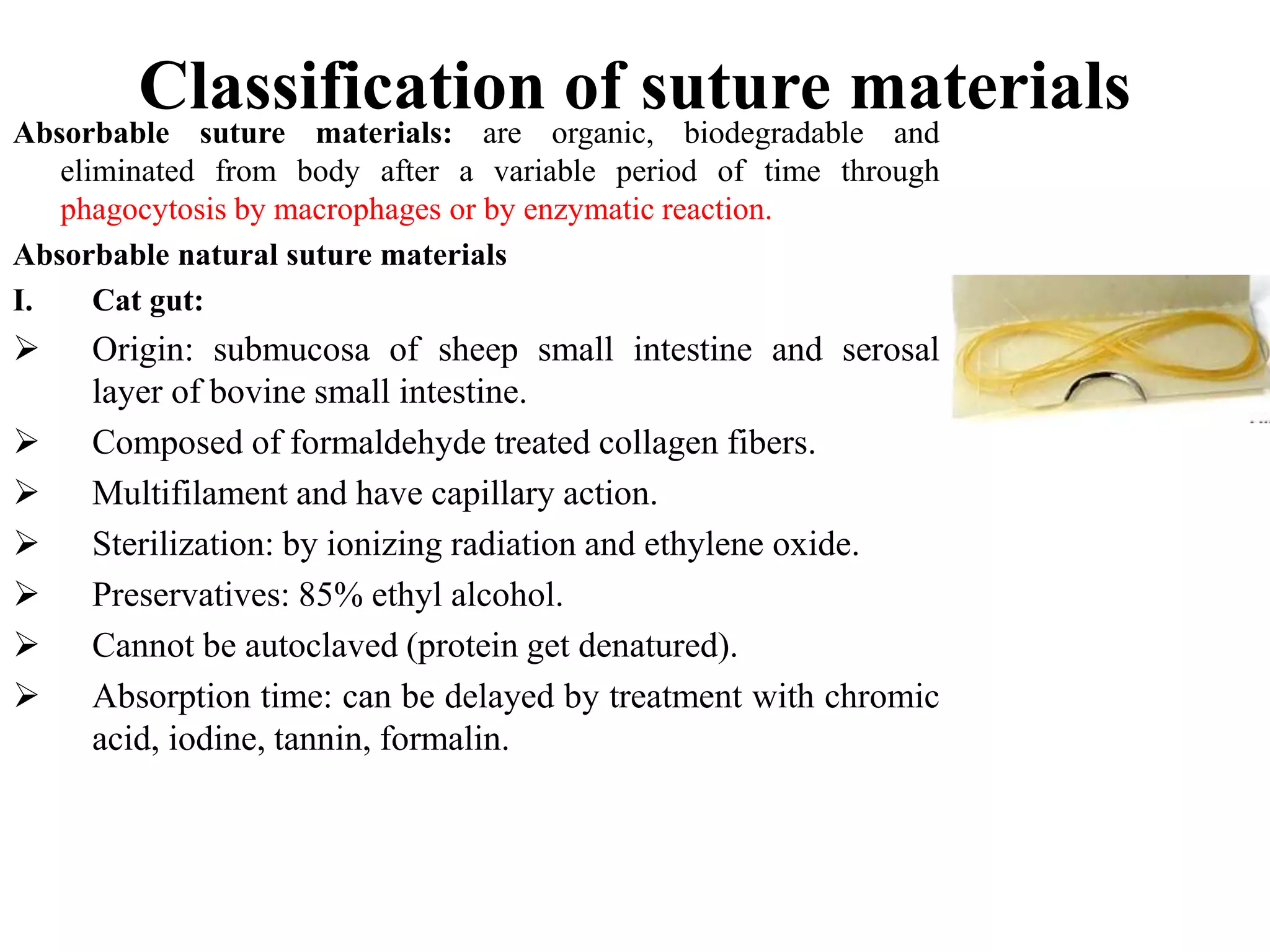 Classification of suture materialsAbsorbable suture materials: are organic, biodegradable and
eliminated from body after a variable period of time through
phagocytosis by macrophages or by enzymatic reaction.
Absorbable natural suture materials
I. Cat gut:
 Origin: submucosa of sheep small intestine and serosal
layer of bovine small intestine.
 Composed of formaldehyde treated collagen fibers.
 Multifilament and have capillary action.
 Sterilization: by ionizing radiation and ethylene oxide.
 Preservatives: 85% ethyl alcohol.
 Cannot be autoclaved (protein get denatured).
 Absorption time: can be delayed by treatment with chromic
acid, iodine, tannin, formalin.
 