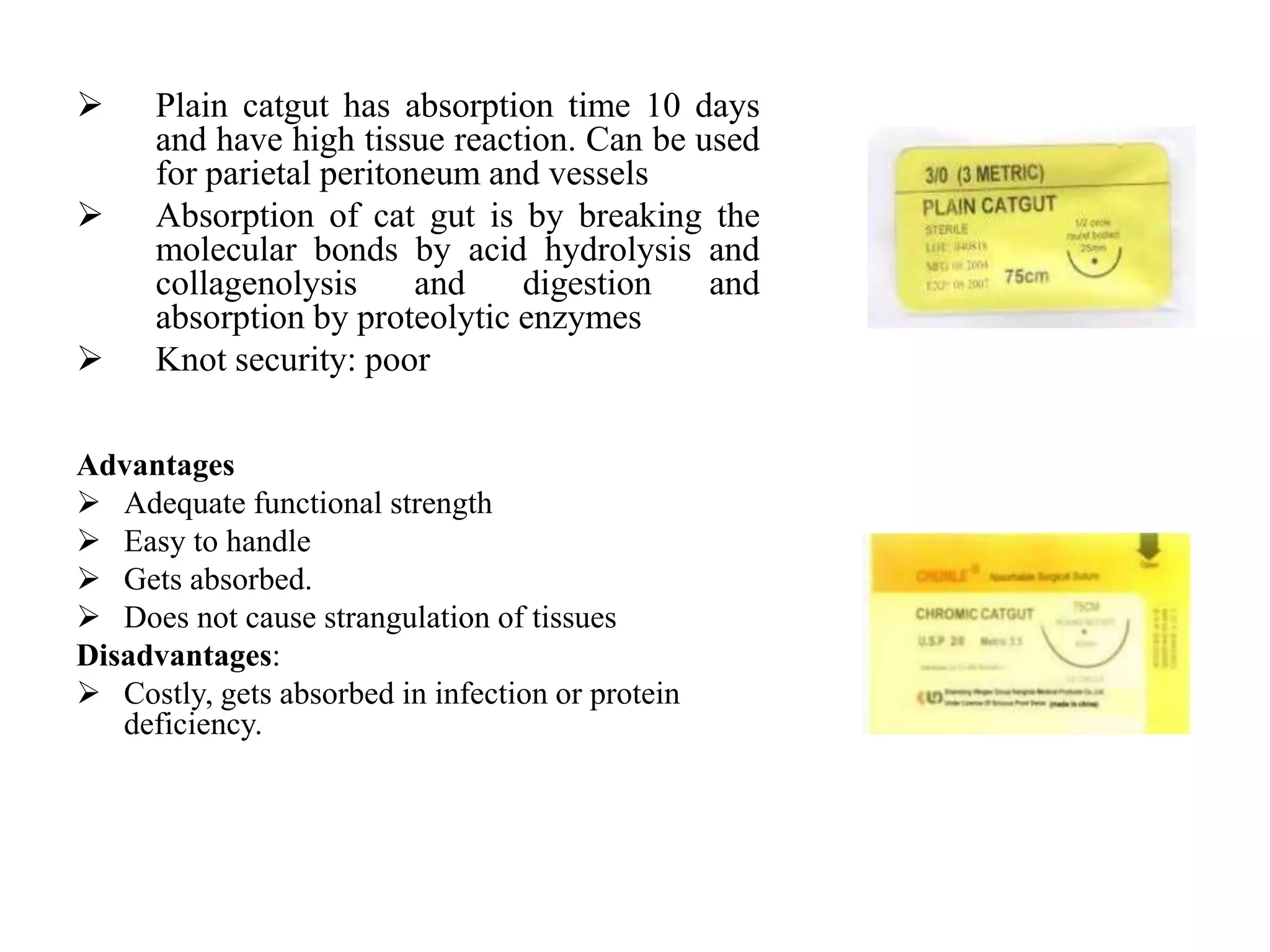  Plain catgut has absorption time 10 days
and have high tissue reaction. Can be used
for parietal peritoneum and vessels
 Absorption of cat gut is by breaking the
molecular bonds by acid hydrolysis and
collagenolysis and digestion and
absorption by proteolytic enzymes
 Knot security: poor
Advantages
 Adequate functional strength
 Easy to handle
 Gets absorbed.
 Does not cause strangulation of tissues
Disadvantages:
 Costly, gets absorbed in infection or protein
deficiency.
 