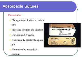 Absorbable Sutures
• Chromic Gut
 Plain gut tanned with chromium
salts
 Improved strength and duration
 Duration is 2-3 weeks
 Knot security greater than plain
gut
 Absorption by proteolytic
enzymes
 